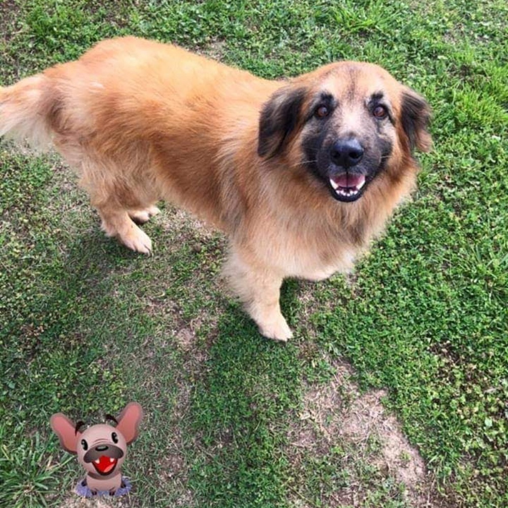 Meet your Posher, Nikki